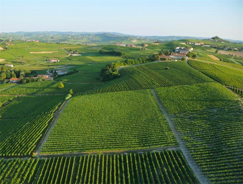 Biologico in crescita anche in Piemonte: la cooperazione resta la chiave per la competitività