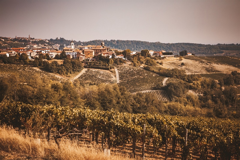 Un autunno da ricordare per Cantina Tre Secoli: premi che confermano la forza della cooperazione